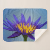 Lila Wasserlilie Sherpadecke (Vorderseite (Horizontal))