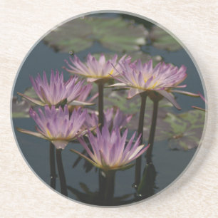 Lila Wasserlilien Lotus Getränkeuntersetzer