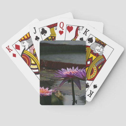 Lila Wasserlilien Lotus spielende Karten Spielkarten (Rückseite)