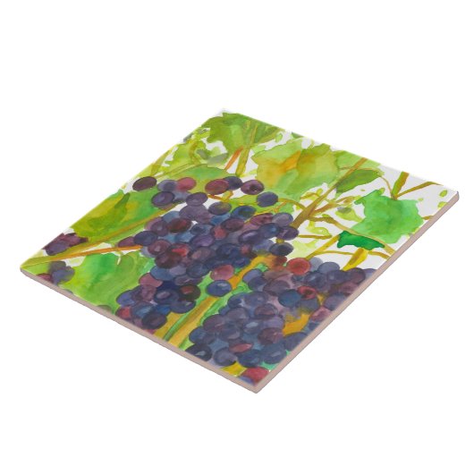 Lila Watercolor Weintrauben Fliese (Seite)