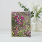 Lila Waxblumen Postkarte (Stehend Vorderseite)