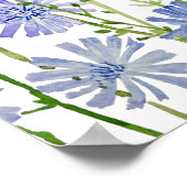 lila Wegwarte Wasserfarbe Poster (Ecke)