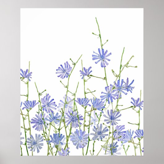 lila Wegwarte Wasserfarbe Poster (Vorne)