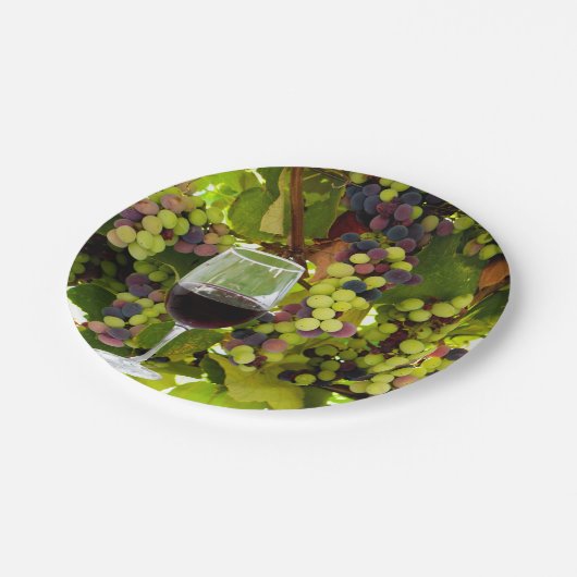 Lila Weintrauben Anbau mit Weinglas Pappteller (Schrägansicht)