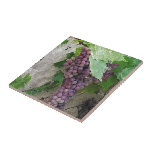 Lila Weintrauben Fliese (Seite)