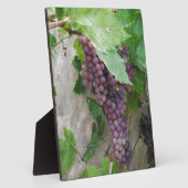 Lila Weintrauben Fotoplatte (Seite)