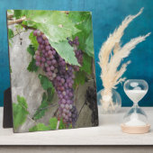 Lila Weintrauben Fotoplatte (Seite)