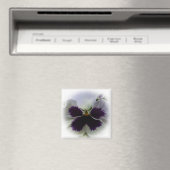 Lila-weiße Panik Magnet (In Situ (Geschirrspüler))