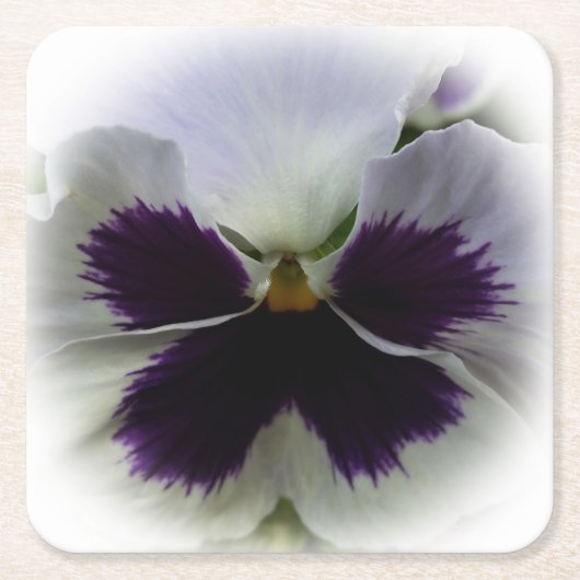 Lila-weiße Panik Rechteckiger Pappuntersetzer (Vorderseite)