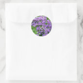 Lila-weiße Statice (Limonium) Blume in Blüte Runder Aufkleber (Tasche)