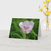 Lila-weiße Tulpe Karte (Gelbe Blume)