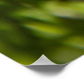 Lila-weiße Veilchen Foto Poster (Ecke)