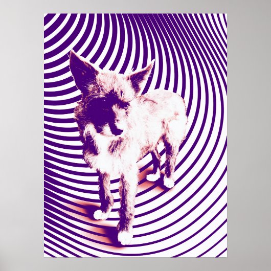 lila Welpen Poster (Vorne)