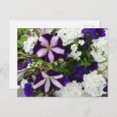 Lila White Blue Flowers DIY Postcard Postkarte (Vorne/Hinten)