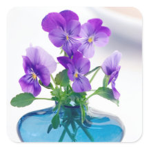 Lila White Violas Blume Blue Vase Floral