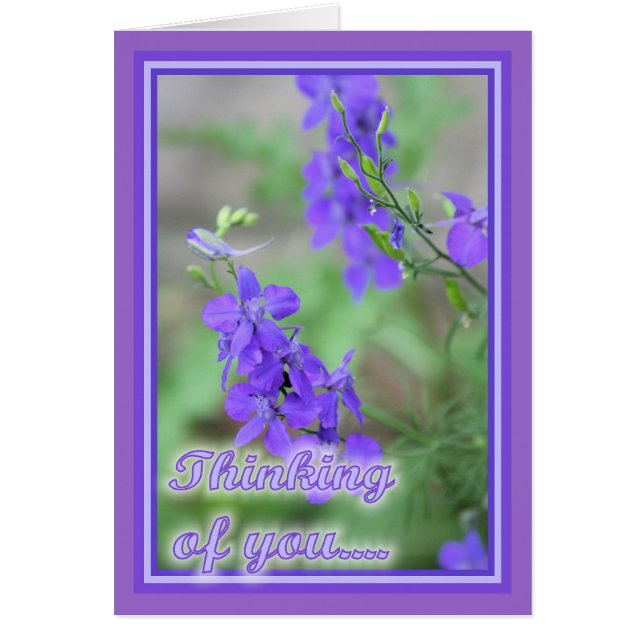 Lila wild lebende Blume (Vorne)