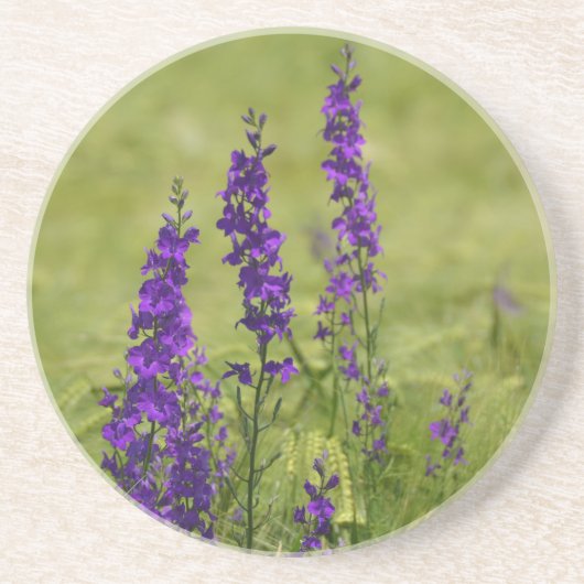 Lila wild lebende Blume auf dem Feld Untersetzer (Vorne)