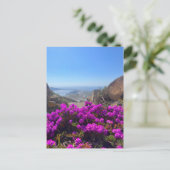 Lila wild lebende Blume Santorini Griechenland Fot Postkarte (Stehend Vorderseite)