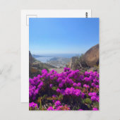 Lila wild lebende Blume Santorini Griechenland Fot Postkarte (Vorne/Hinten)