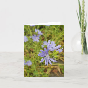 Lila Wildblume Bloom Feiertagskarte