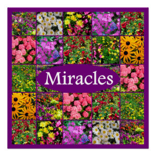 LILA WILDBLUME FOTO MIRACLES DESIGN POSTER