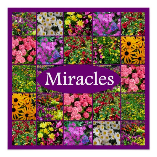 LILA WILDBLUME FOTO MIRACLES DESIGN POSTER (Vorderseite)