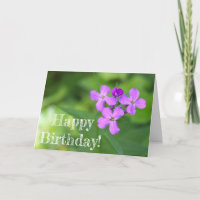 Lila Wildblume Geburtskarte