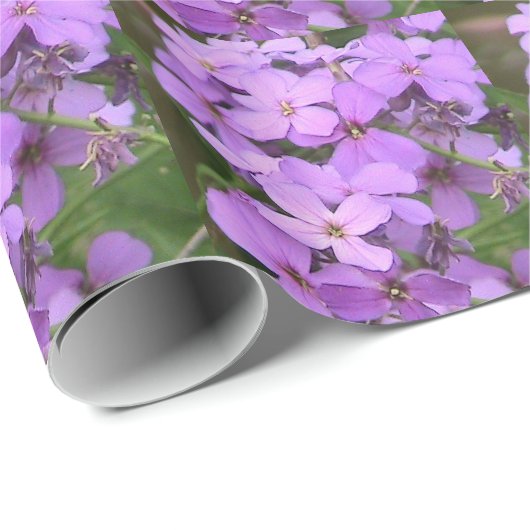 Lila Wildblume Geschenkpapier (Rolleneckpunkt)