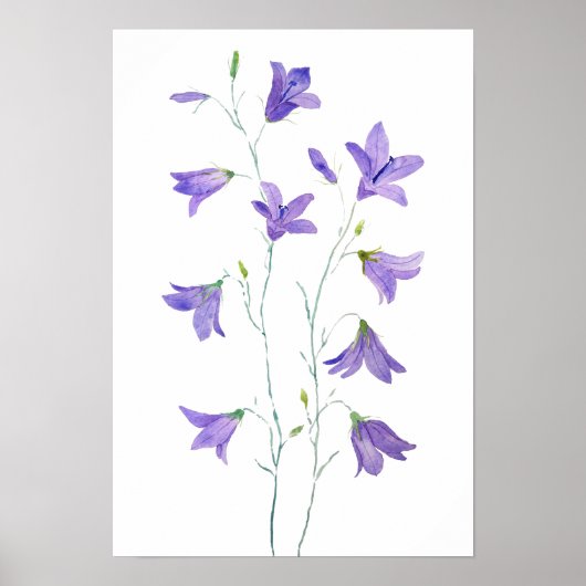 lila Wildblume Harebell Poster (Vorne)