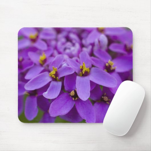 Lila Wildblume Maus-Pad Mousepad (Mit Mouse)