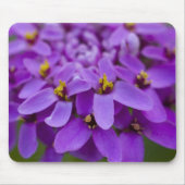 Lila Wildblume Maus-Pad Mousepad (Vorne)