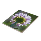 Lila Wildblume mit Dewdrops im Hintergrund Fliese (Seite)