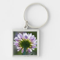 Lila Wildblume mit Dewdrops im Hintergrund