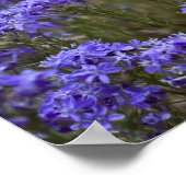 Lila Wildblume Poster 2 (Ecke)