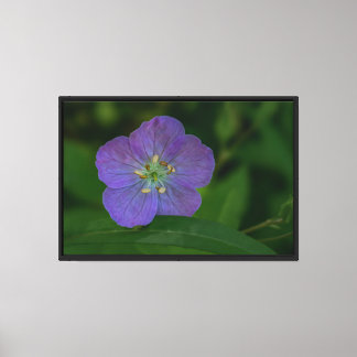 Lila Wildblume Stretch Canvas Druck Leinwanddruck