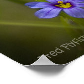 Lila Wildblume Vignette Poster (Ecke)