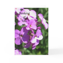 Lila Wildblumen Denken Sie an Sie