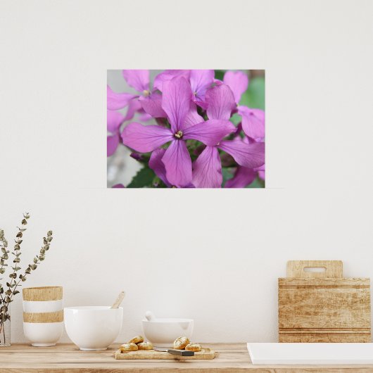Lila Wildblumen drucken Poster (Küche)