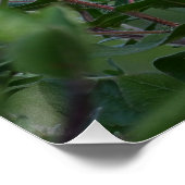 Lila Wildblumen Foto Poster (Ecke)