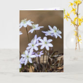 Lila Wildblumen im Frühjahr Karte (Gelbe Blume)