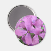 Lila Wildblumen Magnet (Vorderseite/Rückseite)