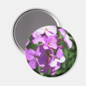 Lila Wildblumen Magnet (Vorderseite/Rückseite)