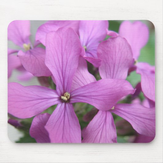 Lila Wildblumen Mousepad (Vorne)