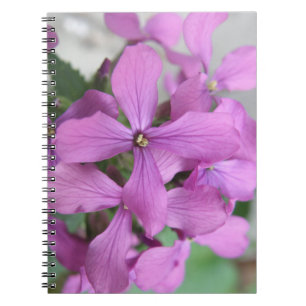 Lila Wildblumen Notizblock