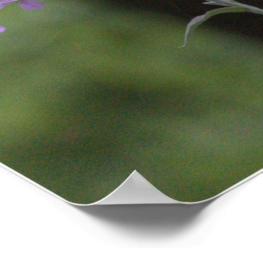 Lila Wildblumen Poster (Ecke)