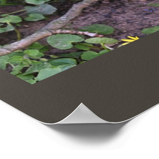 Lila Wildblumen Poster (Ecke)