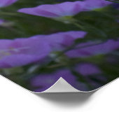 lila Wildblumen Poster (Ecke)