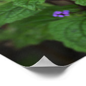 Lila Wildblumen Poster (Ecke)