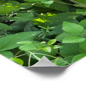 Lila Wildblumen Poster (Ecke)