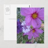 lila Wildblumen Postkarte (Vorne/Hinten)